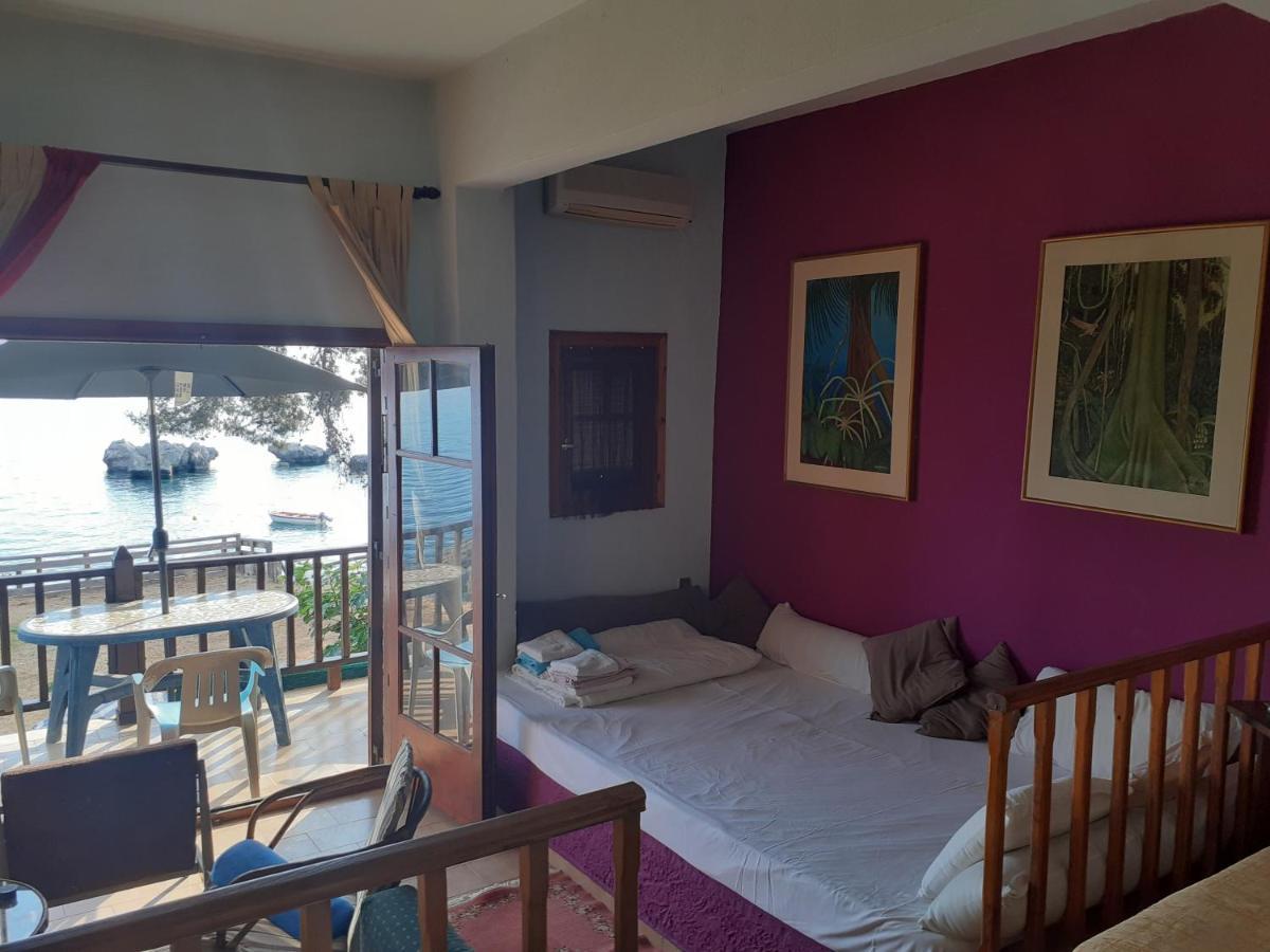 Traditional Guest House อาเกีย ปาราสเควิ ภายนอก รูปภาพ